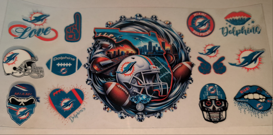 Dolphins, Miami