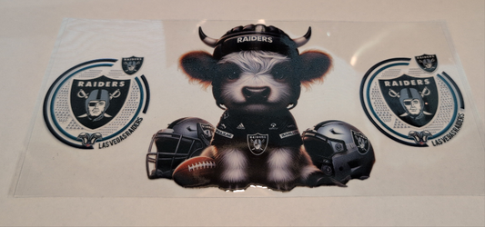 Raiders, Las Vegas, Highland Cow