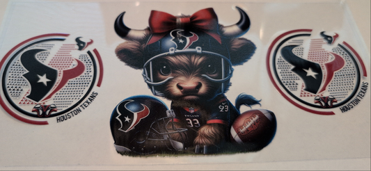 Texans, Houston, Highland Cow