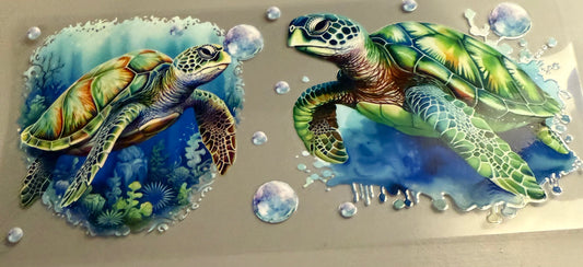 Blue and Green Turtle