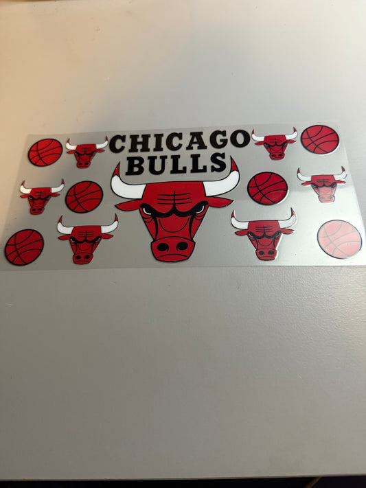 Chicago Bulls