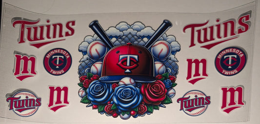 Twins, Minnesota, MLB